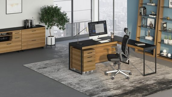 Gỗ óc chó là gì, có tốt không và ứng dụng của gỗ óc chó
